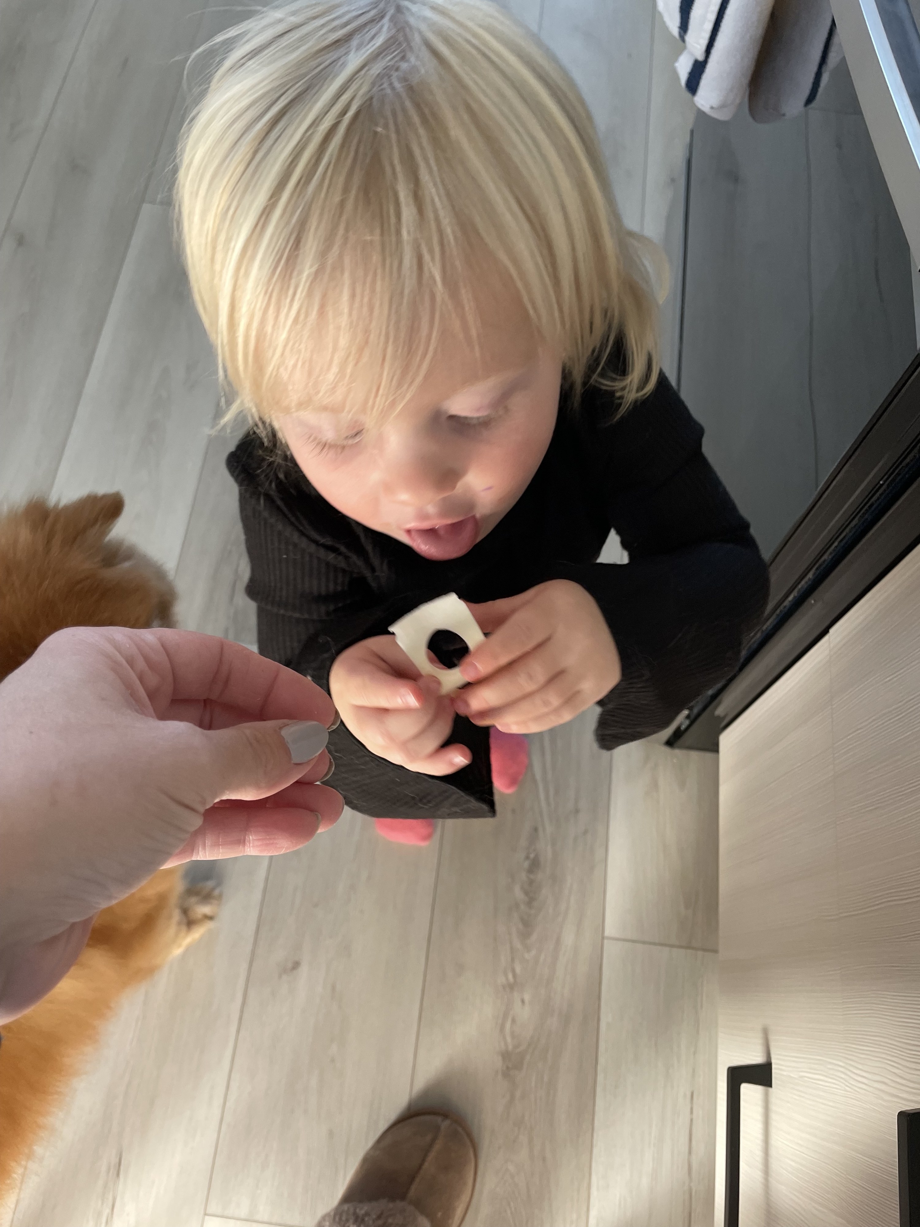 the author's daughter with a piece of cheese